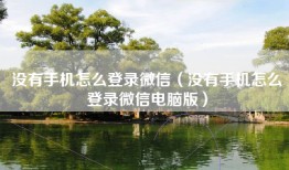 没有手机怎么登录微信（没有手机怎么登录微信电脑版）