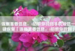 误删重要信息，4招教你找回手机短信一键恢复「误删重要信息，4招教你找回」