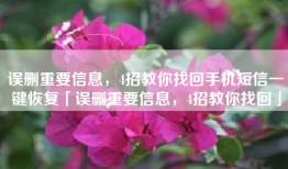 误删重要信息，4招教你找回手机短信一键恢复「误删重要信息，4招教你找回」