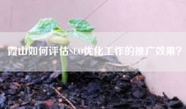 霞山如何评估SEO优化工作的推广效果？