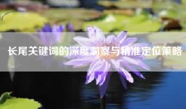 长尾关键词的深度洞察与精准定位策略
