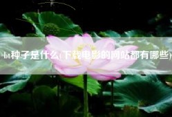 bt种子是什么(下载电影的网站都有哪些)