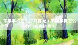 苹果手机怎么打马赛克（苹果手机怎么打马赛克相片）