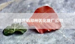 网络营销郑州优化推广公司