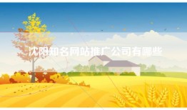 沈阳知名网站推广公司有哪些