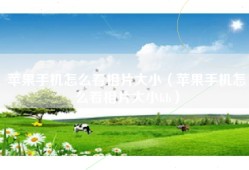 苹果手机怎么看相片大小（苹果手机怎么看相片大小kb）