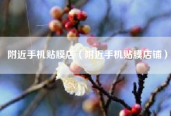 附近手机贴膜店（附近手机贴膜店铺）