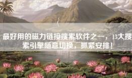 最好用的磁力链接搜索软件之一，13大搜索引擎随意切换，抓紧安排！