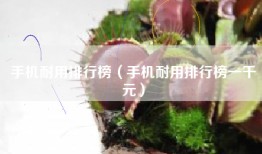 手机耐用排行榜（手机耐用排行榜一千元）