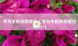 华为手机拍照排行（华为手机拍照排行榜2024）