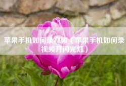 苹果手机如何录视频（苹果手机如何录视频开闪光灯）