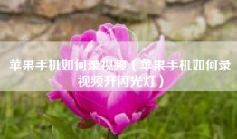 苹果手机如何录视频（苹果手机如何录视频开闪光灯）