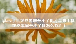 iphone手机突然黑屏开不了机（苹果手机突然黑屏开不了机怎么办？）