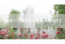 骁龙712（骁龙712和骁龙835哪个好）