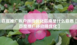 百度推广账户操作优化指南是什么意思【百度推广移动端优化】