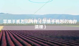 苹果手机怎么内存（苹果手机怎么内存清理）