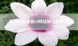 全球浏览量前20网站排行名单2022