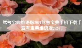驾考宝典维语版2024驾考宝典手机下载「驾考宝典维语版2024」
