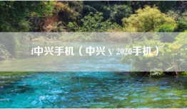 f中兴手机（中兴ⅴ2020手机）