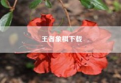 王者象棋下载