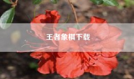 王者象棋下载