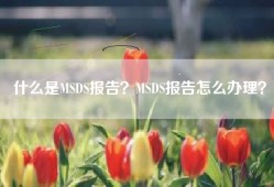 什么是MSDS报告？MSDS报告怎么办理？