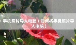 手机照片导入电脑（如何将手机照片导入电脑）