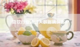 贷款行业通过大数据确保客户
