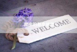 爬虫的基本原理