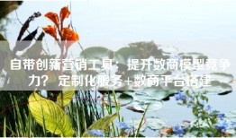 自带创新营销工具：提升数商模型竞争力？ 定制化服务+数商平台搭建