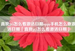 真我gt5怎么看激活日期oppo手机怎么查激活日期「真我gt5怎么看激活日期」