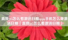真我gt5怎么看激活日期oppo手机怎么查激活日期「真我gt5怎么看激活日期」