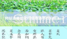 网站流量优化行业市场特点分析.docx