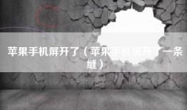 苹果手机屏开了（苹果手机屏开了一条缝）