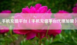手机充值平台（手机充值平台代理加盟）