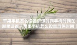 苹果手机怎么设置屏保时间手机时间在哪里设置「苹果手机怎么设置屏保时间」