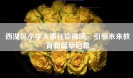 西湖区小学人事任命揭晓，引领未来教育新篇章启幕