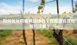 如何优化百度网站排名（百度排名优化技巧详解）