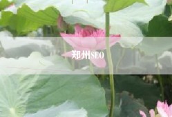 郑州SEO
