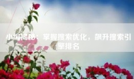 小编揭秘：掌握搜索优化，飙升搜索引擎排名