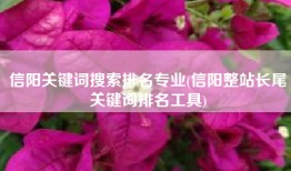 信阳关键词搜索排名专业(信阳整站长尾关键词排名工具)