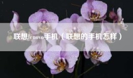 联想lenovo手机（联想的手机怎样）