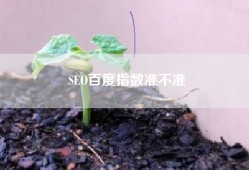 SEO百度指数准不准