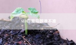 SEO百度指数准不准