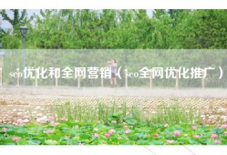 seo优化和全网营销（seo全网优化推广）