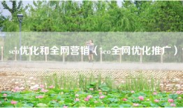 seo优化和全网营销（seo全网优化推广）