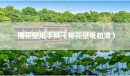 樱花壁纸手机（樱花壁纸超清）