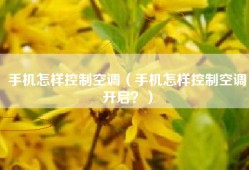 手机怎样控制空调（手机怎样控制空调开启？）