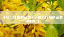 手机怎样控制空调（手机怎样控制空调开启？）