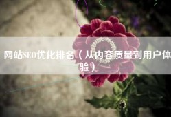 网站SEO优化排名（从内容质量到用户体验）